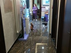 -宠爱国际动物医院·疑难骨科·心肾内科·皮肤科(太阳宫店)