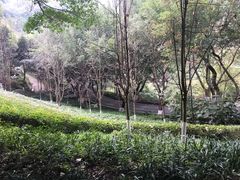 -翠屏公园