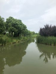 -水八仙生态园