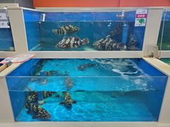 水产区-渔乐圈海鲜餐厅(群力金江路店)