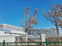 -首都医科大学附属北京天坛医院