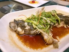 -鹿鸣酒家(越秀店)