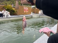 -DGE季风钓虾营地·团建·聚会