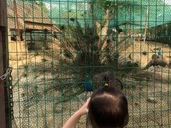 -武汉紫薇都市田园