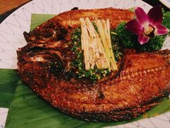 香茅草烤罗非鱼-紫滇源云南生态菜(丹凤街店)