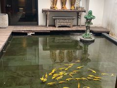 -觀芷隐轩