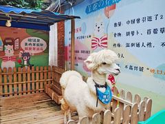 -佟小曼手工茶饼坊(鼓浪屿1店)