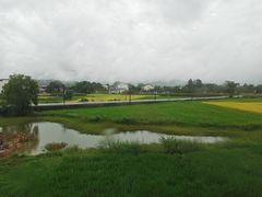 -黄牛肉馆·皖南土菜