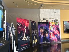 -华谊兄弟影院(IMAX洋桥店)