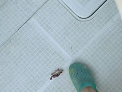 -枸杞岛
