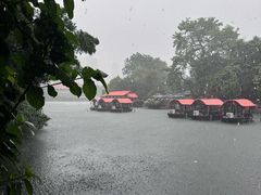 -侨美·唐荔园·40年地道粤菜