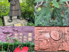-广州神农草堂中医药博物馆