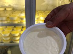 -雪露酸奶