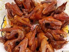 -百利鸽王(紫薇路店)