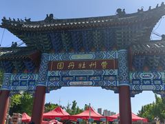-曹州牡丹园