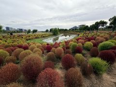 -春花秋色城市公园