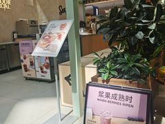 -Seesaw Coffee(上海太阳宫K46店)