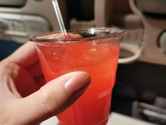 -新加坡航空公司(ION)