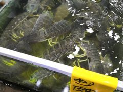 -拉威海鲜市场