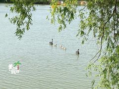 -长兴太湖图影湿地文化园