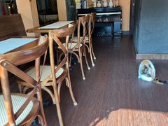 -猫岛主趣味餐厅(鼓浪屿店)