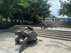 -广东惠东海龟国家级自然保护区