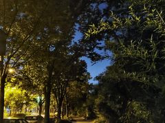 -新江湾城公园