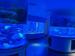 -上和臻品中国菜(花园街店)