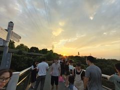 -仙岳公园