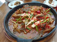 -老板恋上鱼(恒隆广场店)