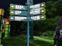 -荷兰花海