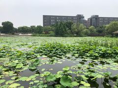-3W咖啡(国家软件园店)