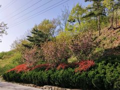 -里口山风景名胜区