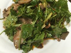 夫妻肺片-屋顶花园餐厅(步行街老地王大厦店)