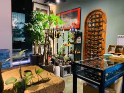 -周忆刺青原创设计定制