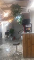 -青禾造型&刺青