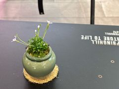 -茶月山·潮汕工夫茶饮(乐峰广场店)