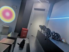 -极木²邸 人与宠物·互动社区
