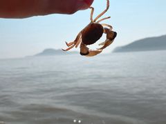 -温岭石塘海边