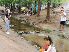 -白水寺森林公园