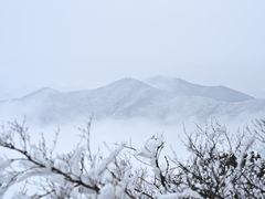 -湖州龙王山景区