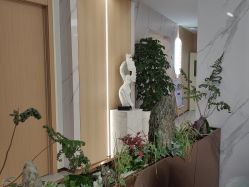 -上海伊莱美医疗美容医院