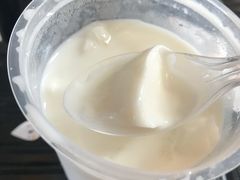 -马里奥明星猪脚饭
