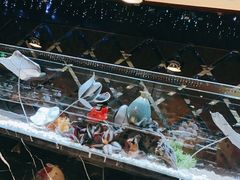 -红辣椒·川菜·火锅(张杨路店)