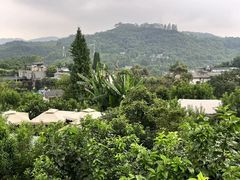 -桃源山庄·水蜜桃采摘·柴火鸡·烧烤团建(龙泉山店)