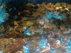 -良师门滨海人家·海鲜·家常菜(滨海城店)