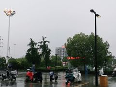 -大润发(东关世茂店)