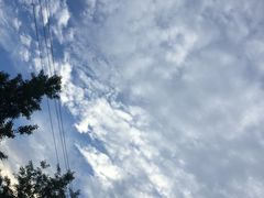 -元洲装饰(杭州东路店)