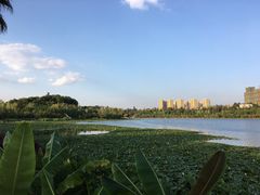 -洛龙公园