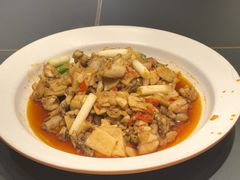 -新概念来凤鱼(璧山店)